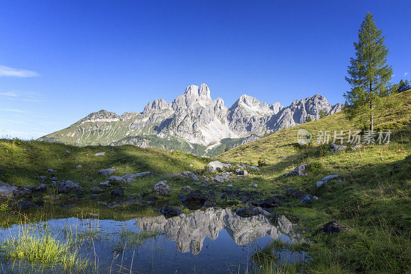 阿尔卑斯山在高山池塘的反射，背景为Gosaukamm的bischofsm<e:1>泽山